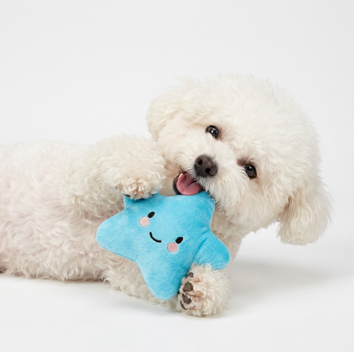 “Jouet Étoile Peluche pour Chien – Doux & Coloré”