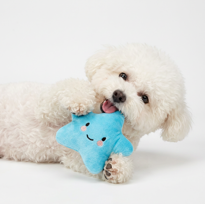 “Jouet Étoile Peluche pour Chien – Doux & Coloré”