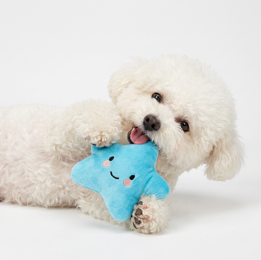 “Jouet Étoile Peluche pour Chien – Doux & Coloré”